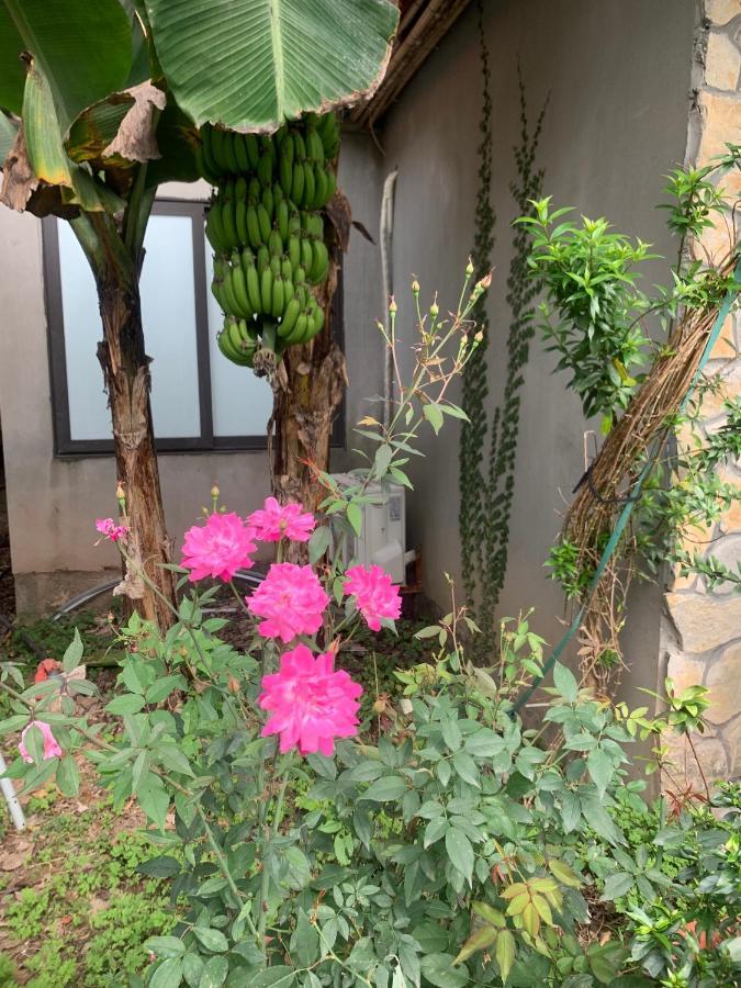 Trang An Peaceful Homestay 닌빈 외부 사진