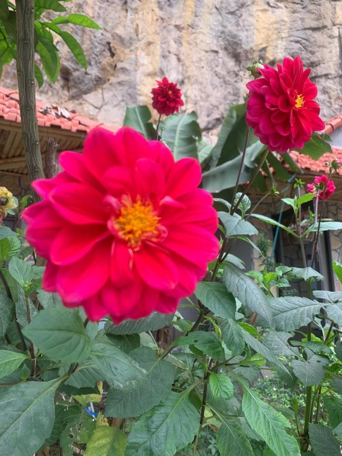 Trang An Peaceful Homestay 닌빈 외부 사진